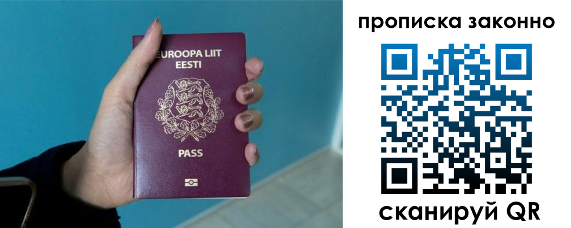 прописка гарантия в Болотном